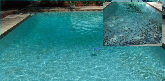 Pool Cleaning Heathrow, Fl